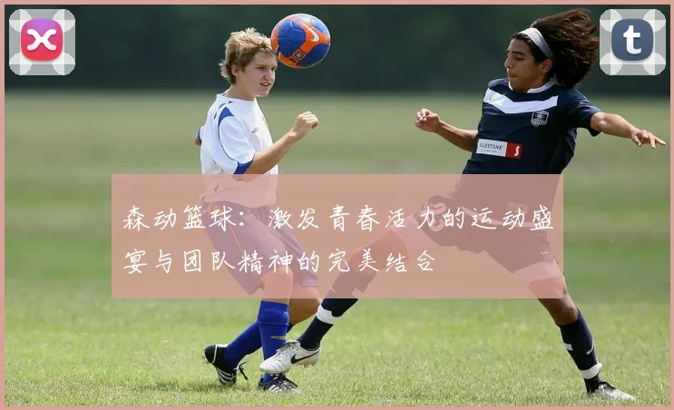 森动篮球：激发青春活力的运动盛宴与团队精神的完美结合