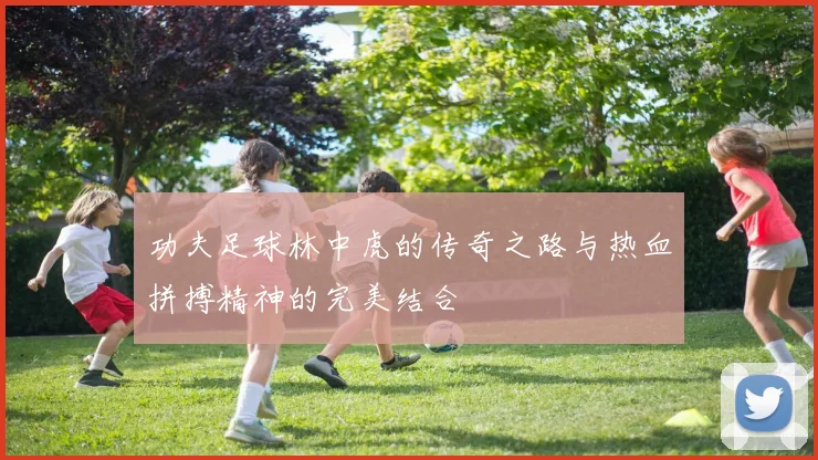 功夫足球林中虎的传奇之路与热血拼搏精神的完美结合
