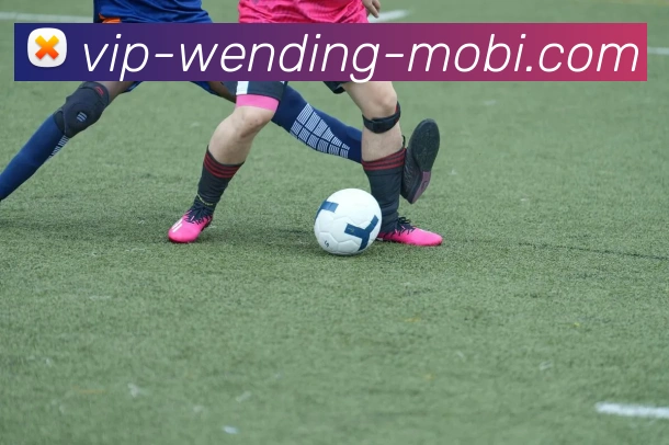 WendingAPP 封面图